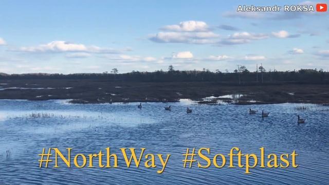 ЧУЧЕЛА гусей Softplast 3d от NORTHWAY