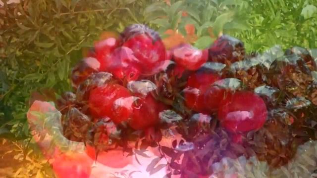 ГРАНАТ ПОЛЬЗА | кожура граната польза, фрукт гранат польза и вред, гранат польза или вред? смотреть онлайн