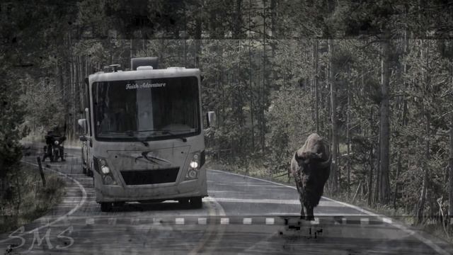 Это больше не моя жена. Крипипаста. Истории от Sms.