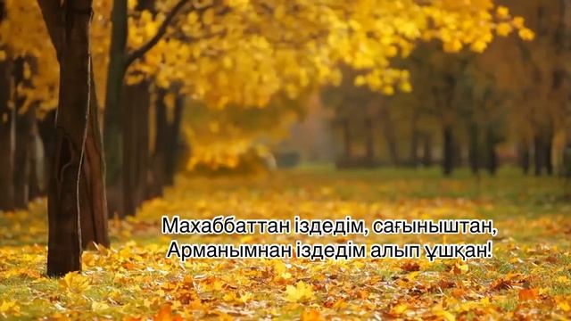 Поэзия|Поэзия менімен егіз бе едің?! |Қошаева Гүлмира|Мұқағали Мақатаев|#поэзия смотреть онлайн