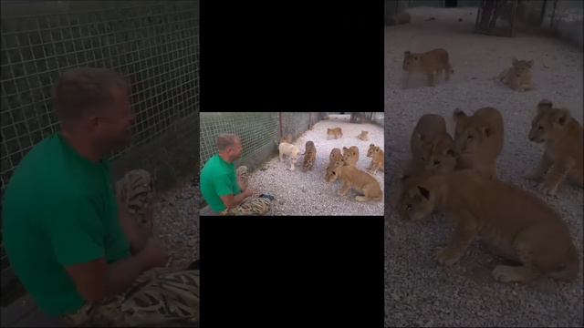 "Волшебный" тапок Олега Зубкова. смотреть онлайн