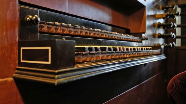 Els Biesemans plays Baroque music on the 1698 Schnitger organ in Dedesdorf смотреть онлайн