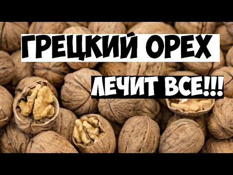 ЧЕМ ПОЛЕЗЕН ГРЕЦКИЙ ОРЕХПОЛНЫЙ РАЗБОР ГРЕЦКОГО ОРЕХА (от Нины Барс)