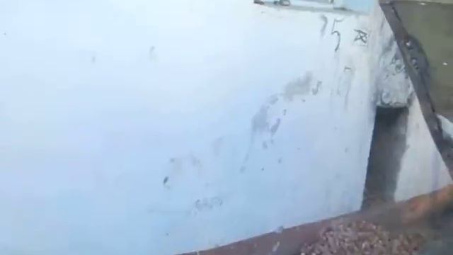 чистка кукурузы смотреть онлайн