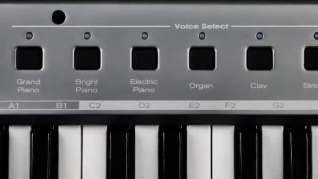 M-Audio ProKeys Sono 61 - Digital Piano Audio Interface | SOFTPLANET LTD смотреть онлайн