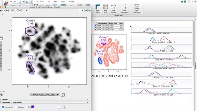 Concatenation and tSNE Webinar смотреть онлайн