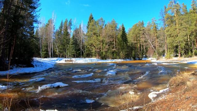 Музыка для глубокого сна и восстановления сил 4К - колыбельная горной речки смотреть онлайн