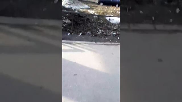 Кто узнает эту песню тому я отвечу на вопрос в комнатах!!! смотреть онлайн