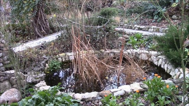 Пруд у нас в саду Прудик осенью в нашем саду! смотреть онлайн