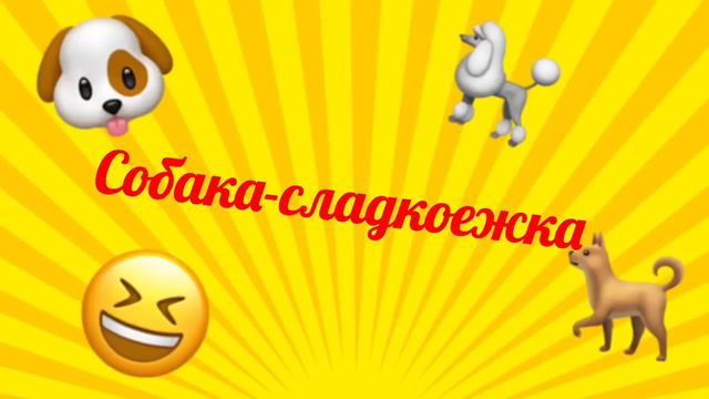 ТИПЫ СОБАК (ШПИЦОВ) | С АДИ И КРИСТИНОЙ | Tamila Grande смотреть онлайн