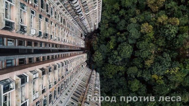 Вид на мир с высоты птичьего полета смотреть онлайн