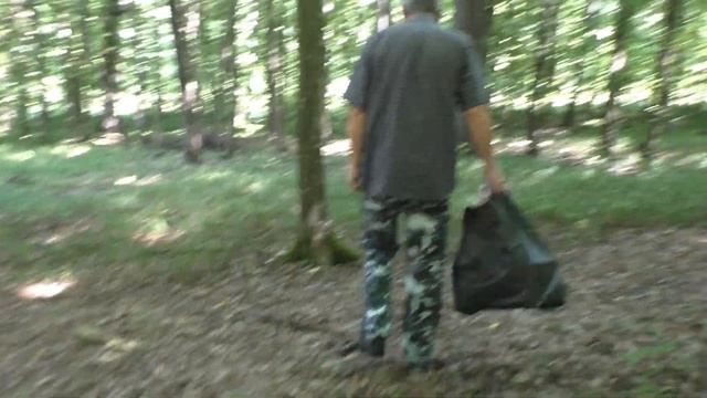 Рассказываем Наш Секрет, почему в ЖАРУ в нашем ЛЕСУ, растут Грибы !? ? Резать или Срывать Грибы ? смотреть онлайн