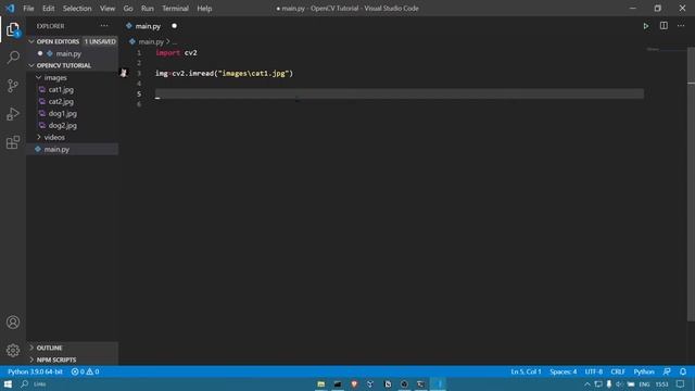 OpenCV Tutorial Part 1(Importing, Displaying and Resizing Images) смотреть онлайн