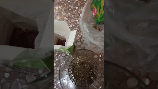Желчегонный сбор! смотреть онлайн