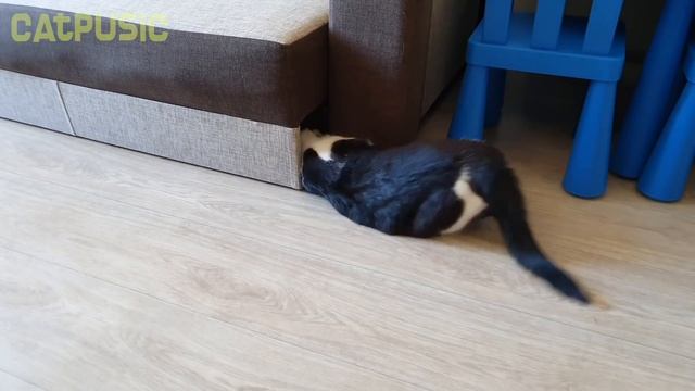 The master of small slits смотреть онлайн