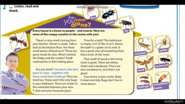 Are you home alone? part 4 grade 5