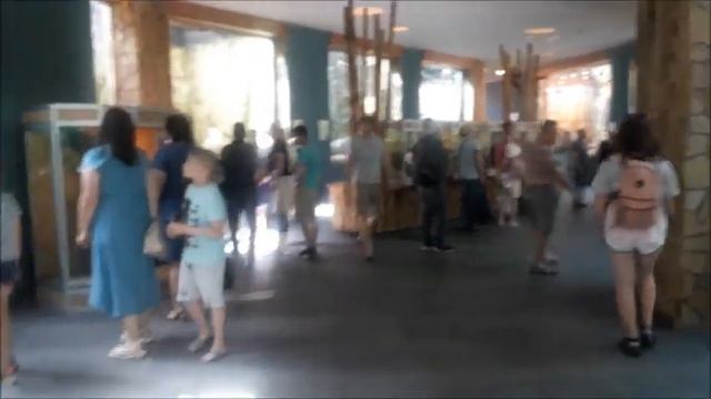 ЗооПарк.Есть на что посмотреть! смотреть онлайн