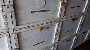 Состояние пчел, обзор пеноульев