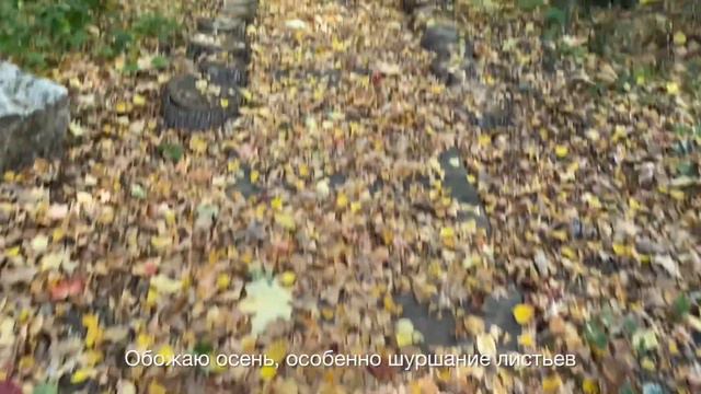 Lazy VLOG #3 «Свадьба, база отдыха, водопад» смотреть онлайн