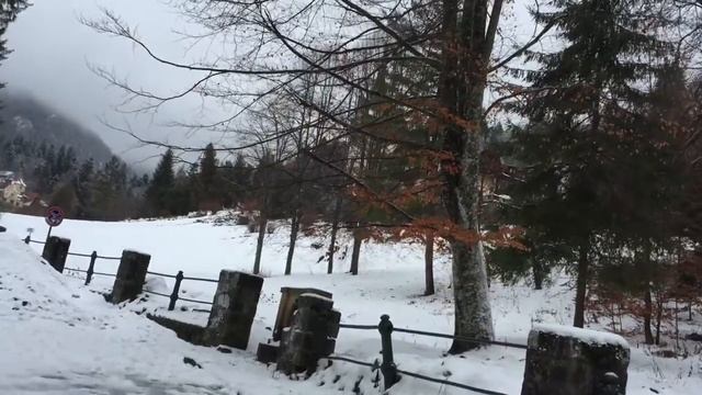 ЕДЕМ в дворцовый замок Пелеш, где жил король Румынии. смотреть онлайн