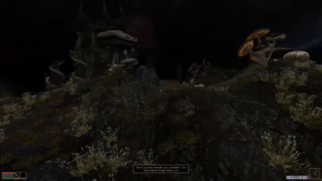 Morrowind 3.0 Part 25: Telvanni Hortator смотреть онлайн