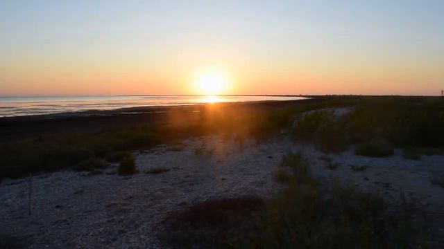 Росейка 2020 смотреть онлайн