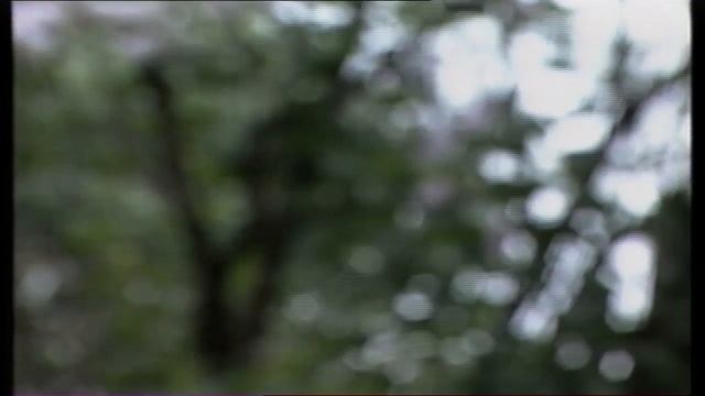 Играй, гармонь! | Ульяновская область 1995 год | продолжение смотреть онлайн