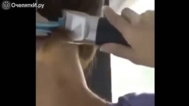 Стрижка своими руками смотреть онлайн