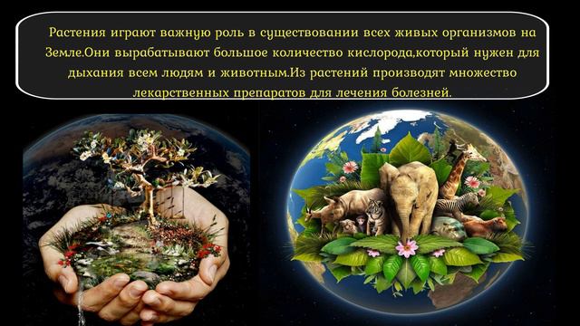 Экологический час «Земля-наш дом!» смотреть онлайн