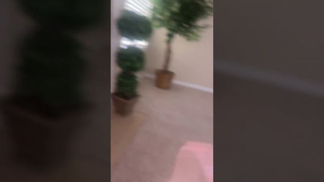 Tree Roof смотреть онлайн