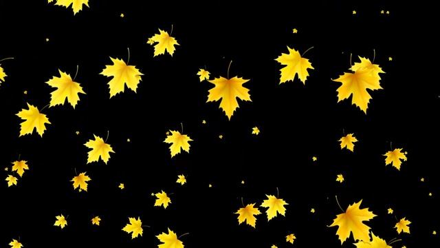 Медленное падение листьев - осенний футаж для видео монтажа на черном и зеленом фоне. смотреть онлайн