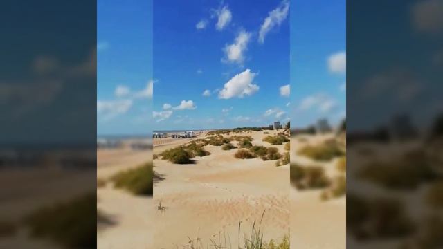 сентябрь 2021 море Витязево смотреть онлайн