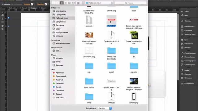 Прием платежей через PayPal в Adobe Muse смотреть онлайн