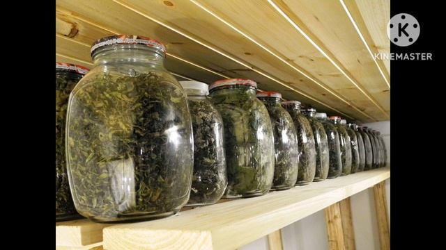 Ферментированный квас на чистотеле по Болотову смотреть онлайн