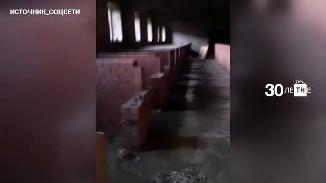 Могильник или пристанище отказных животных: челнинский зоопарк обвинили в незаконных захоронениях смотреть онлайн
