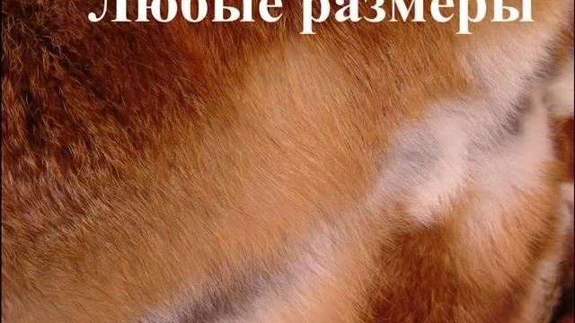 516 - Меховое покрывало/меховой плед рыжая лиса - мех, меха смотреть онлайн