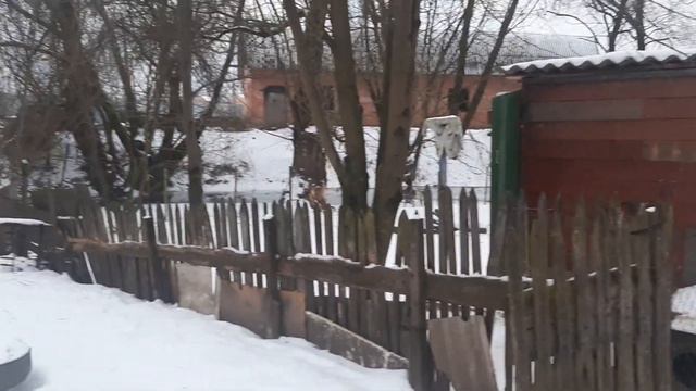 Моих курочек больше нет!Вирус в хозяйстве!Огромные потери!