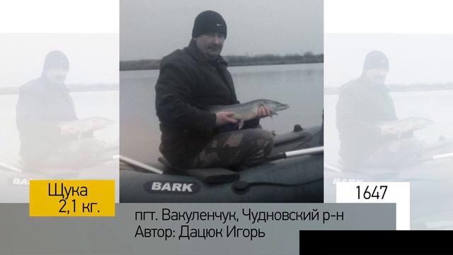 Фотоальбом - Рыбалка №329 смотреть онлайн