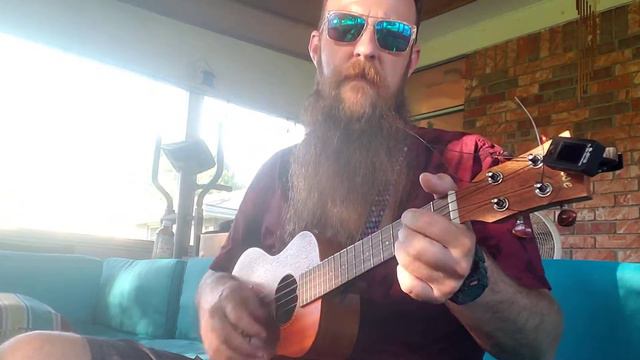 flowers on the wall - Statler brothers - uke cover смотреть онлайн