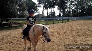 Первый урок верховой езды. Конный спорт.