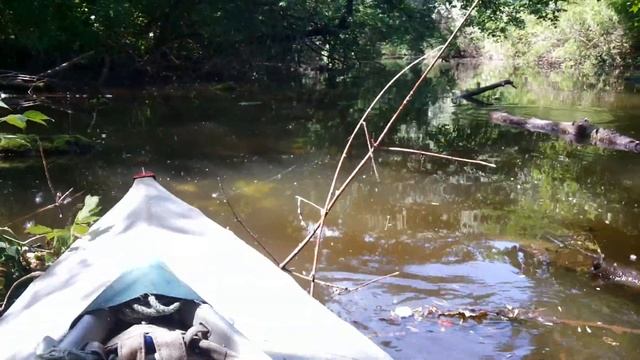 Нарезка - Прогулки на байдарках в плавнях Запорожья. Протока Домаха. Нижние плавни смотреть онлайн