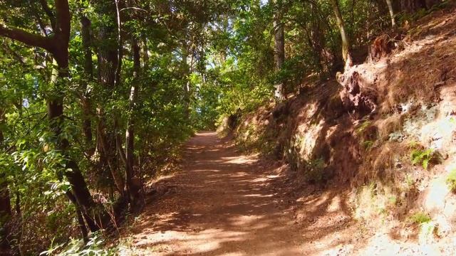 Beautiful Relaxing Calm Guitar Music & Nature  - Sleep Music | Stress Relief | Calming | Road Trip