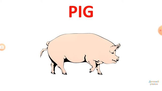 Животные на английском языке для детей смотреть онлайн