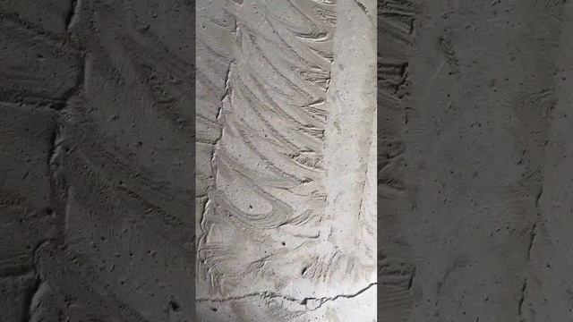 Шлифовка пола.