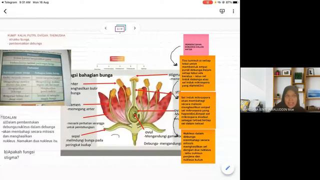 PRESENTATION Bio T5 revision (bab 5-9) смотреть онлайн