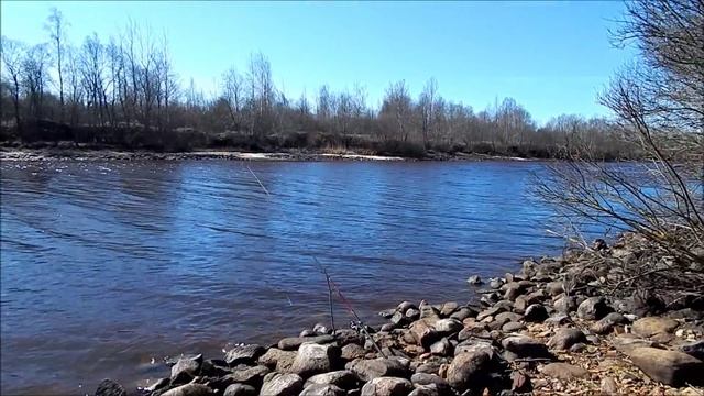 Рыбалка на Волхове, весна 2015 Часть 3 смотреть онлайн