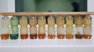 Тест моторных масел на морозоустойчивость 0w-20 5w-30