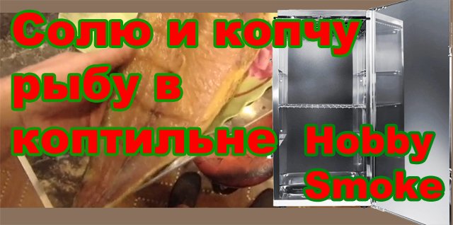 Солю и копчу рыбу ранней весной в коптильне Hobby Smoke