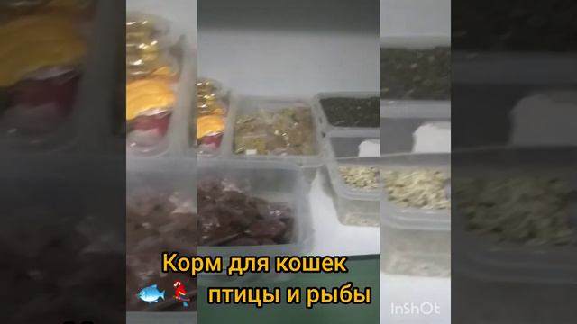 зоомагазин 🐟🦜в городе ИСФАРА 😱ОКОЛО БЕРЁЗКА Круг БАХОР ВСЁ ПО ДОСТУПНЫМ ЦЕНАМ 6.12.2021 смотреть онлайн