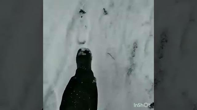 Пройдемся по первому снежку ... )).mp4 смотреть онлайн